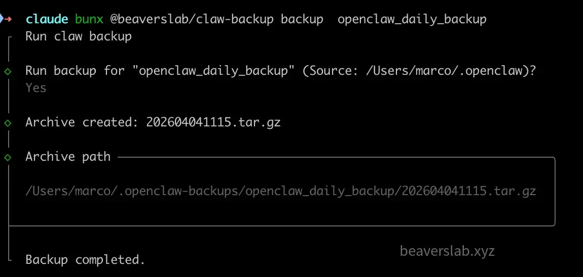 backup execution output